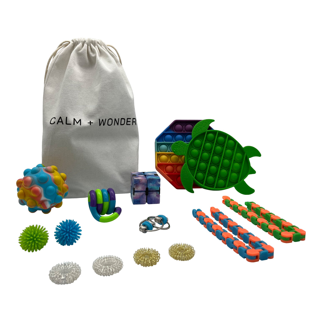 Fidget Mania Sensory Kit